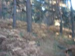 DSC06517.JPG