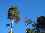 DSC06522.JPG