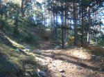 DSC06527.JPG