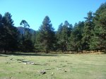 DSC06537.JPG