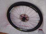 DSC01908.JPG