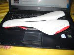 IMG_2831.jpg
