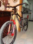 DSC02398.jpg