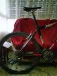 DSC00073.jpg