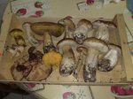 28102008040.jpg