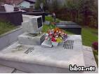 CA3JXGI0CAW319DBCA64TR31CAHERA93CA36WWZ3CAU7KE52CAEC1O6ZCAWHDVNJCARZLRNICA347EY9CA90GYS0CAB52B6W.jpg