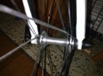 Imagen046.jpg