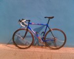 Imagen048wilier.jpg