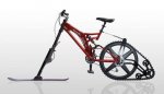 bicinieve.jpg