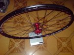 DSC06280.jpg