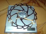 DSC06277.jpg