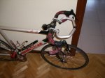 IMGP2788.jpg