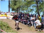 medium_solomountainbike_vigo_116.jpg