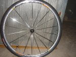 DSC02110.jpg