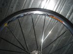 DSC02114.jpg