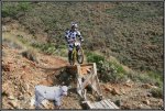 IMG_8727 montaje.jpg