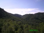 IMG_0009.JPG