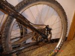 DSC07550.jpg