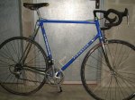 pinarello 1.jpg