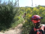DSCF4430.JPG
