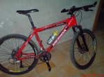 bici (1).jpg