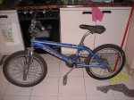 DSCN1545.JPG