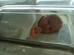 ana  david 045.jpg