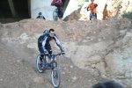 IMG_4208.JPG