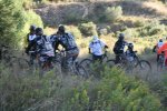 IMG_4229.JPG