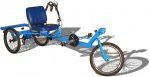 BradGraham_LodeRunnerCargoTrike.jpg