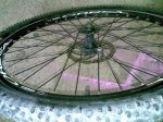 30102008(018).jpg