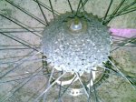 30102008(021).jpg