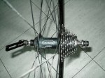 rueda5.jpg