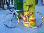 DSC00499.jpg