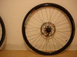 DSC02063.jpg