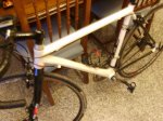 bici (4) (Medium).JPG