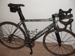 MI CERVELO 5-1.jpg