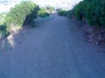 03082008317.jpg