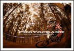 59 (web) watermarked.jpg