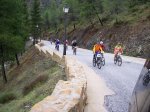 tolox 2008 013.jpg