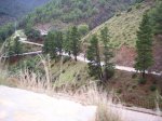 tolox 2008 014.jpg
