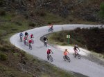 tolox 2008 022.jpg