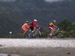 tolox 2008 026.jpg