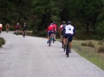 tolox 2008 028.jpg