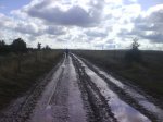 DSC00282.jpg
