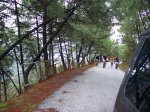 tolox 2008 037.jpg
