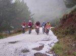 tolox 2008 043.jpg