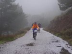tolox 2008 045.jpg