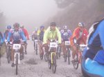 tolox 2008 049.jpg