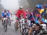 tolox 2008 050.jpg